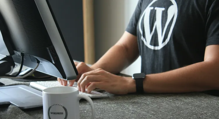 wordpress developer in india